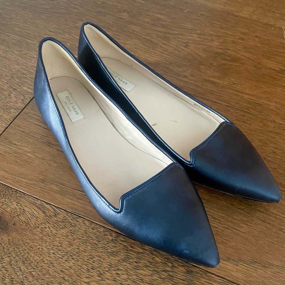 Cole Haan Pointed Flats (Navy Blue)